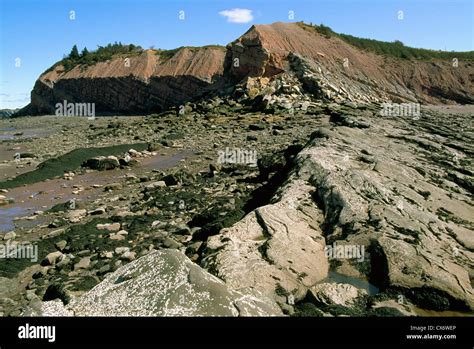 joggins mines nova scotia.